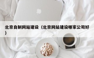 仁寿北京自制网站建设（北京网站建设哪家公司好）